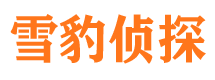 江城市私家侦探